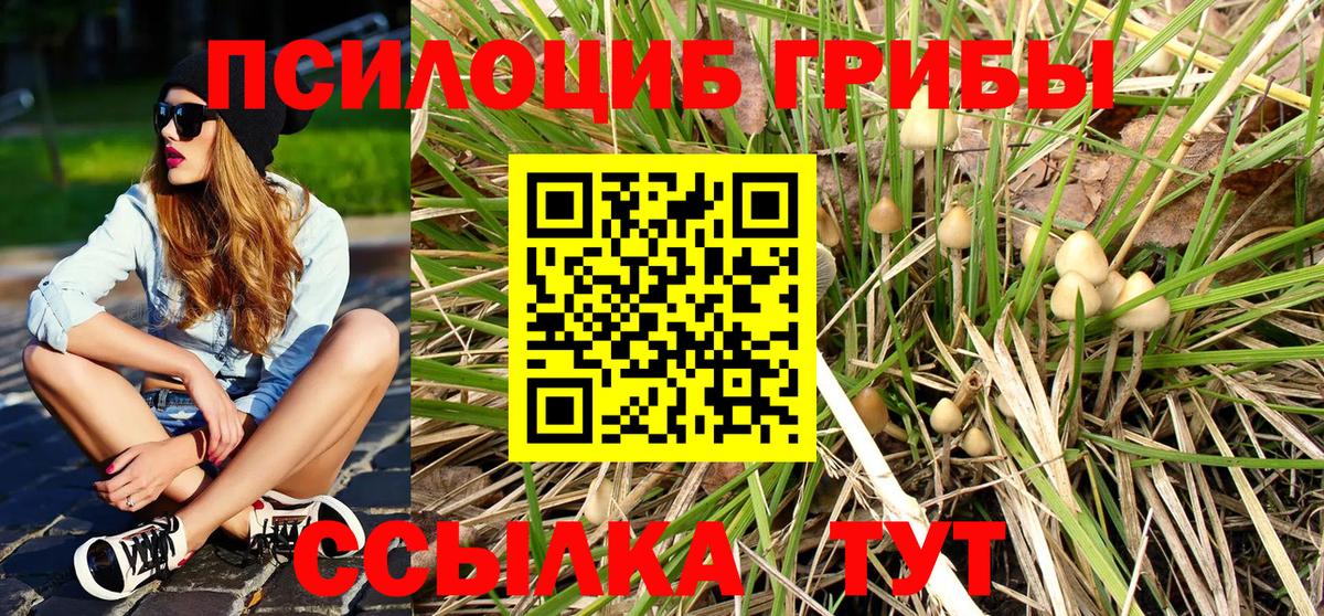 Галлюциногенные грибы мицелий  Вход с VPN  Россия 